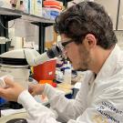 Felipe Méndez-Salcido, M.D., Ph.D., postdoctoral researcher in the Hanks Lab at the Center for Neuroscience and the UC Davis Conte Center, has been named a 2024 Pew Latin American Fellow in the Biomedical Sciences. (Kimberly Cummings/UC Davis)
