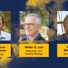Blue and gold graphic with new NAS members