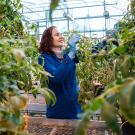 Siobhan Brady, a professor in the Department of Plant Biology and Genome Center, has been selected to join the prestigious Howard Hughes Medical Institute (HHMI) Investigator program. (TJ Ushing / UC Davis)