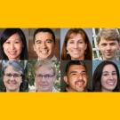 Chancellor fellows
